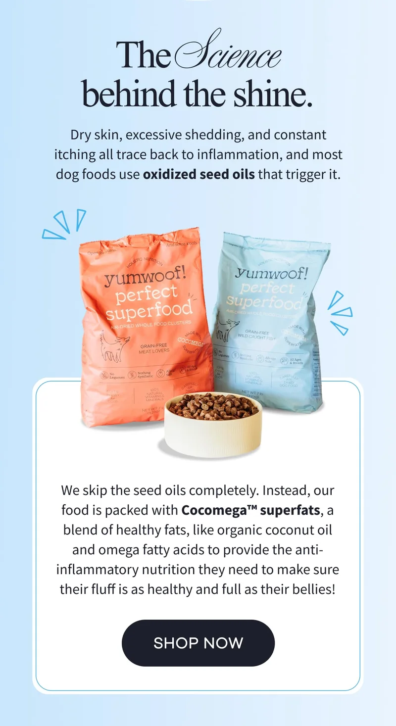 The Science behind the shine. | Dry skin, excessive shedding, and constant itching all trace back to inflammation, and most dog foods use oxidized seed oils that trigger it. | We skip the seed oils completely. Instead, our food is packed with Cocomega™ superfats, a blend of healthy fats, like organic coconut oil and omega fatty acids to provide the anti-inflammatory nutrition they need to make sure their fluff is as healthy and full as their bellies! | SHOP NOW