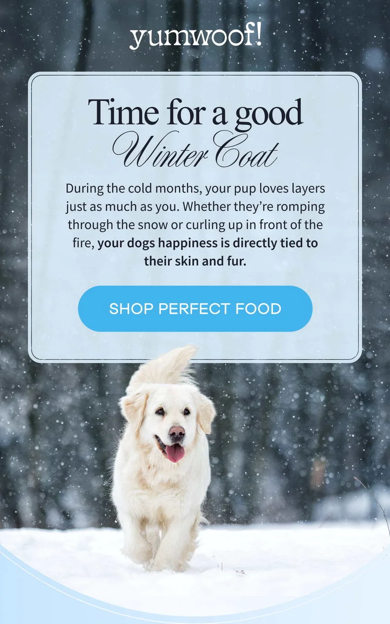 yumwoof! | Time for a good Winter Coat | During the cold months, your pup loves layers just as much as you. Whether they’re romping through the snow or curling up in front of the fire, your dogs happiness is directly tied to their skin and fur. | SHOP PERFECT FOOD