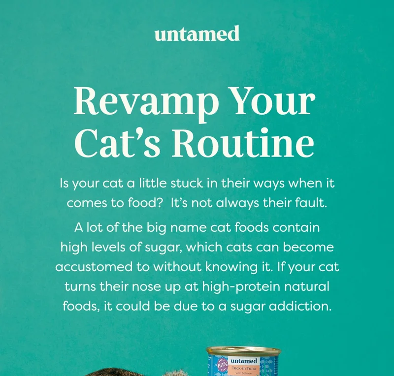 is your cat a little stuck in their ways when it comes to food?  It’s not always their fault.   A lot of the big name cat foods contain high levels of sugar, which cats can become accustomed to without knowing it. If your cat turns their nose up at high-protein natural foods, it could be due to a sugar addiction.
