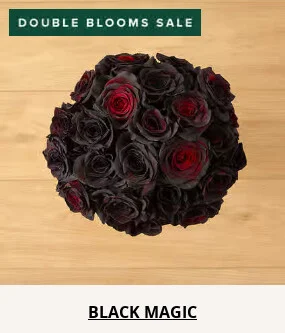 Double Your Blooms For Free