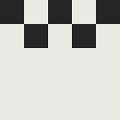 Checkerboard Authentic Shoe