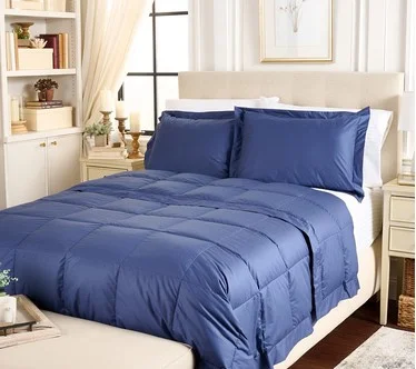 Northern Nights Shadow Dot Cotton 650FP Down Blanket Set - King