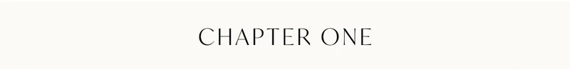 Chapter one