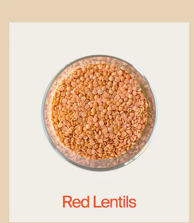Red Lentils