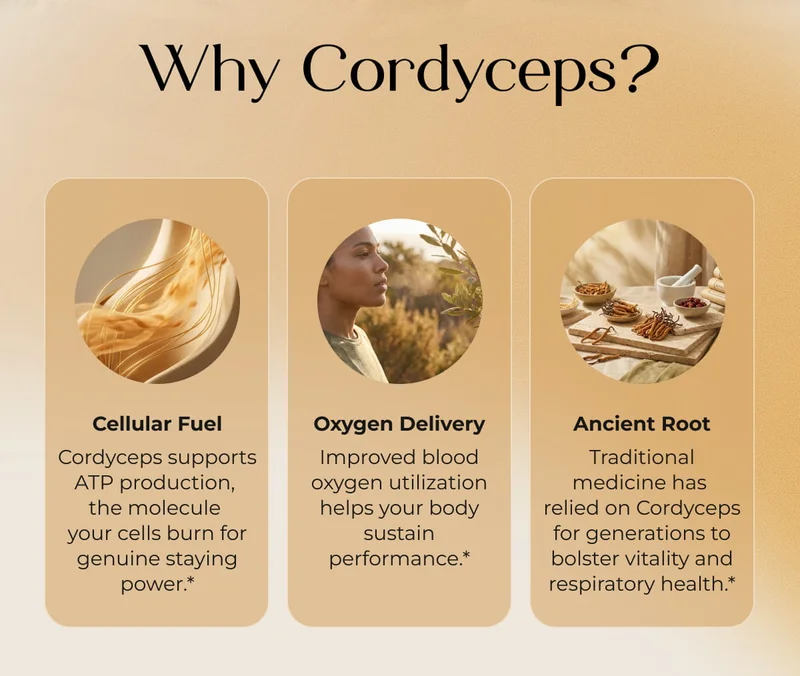 Why Cordyceps?