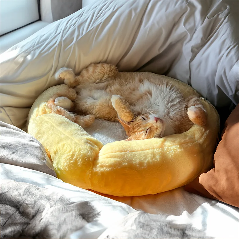 Image of Summer Sun Cat Bed