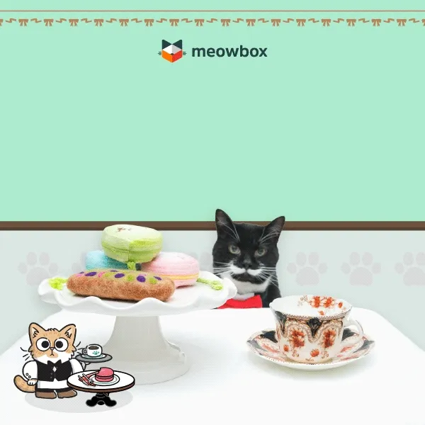 Welcome to the Kitty of Love! Image of black, white spotted cat sitting at a white tablecloth table with Meowcarons, Purrstachio Eclair toys in front of him.