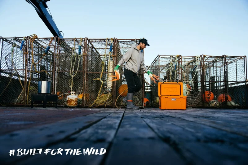 Built For The Wild Built For The Wild