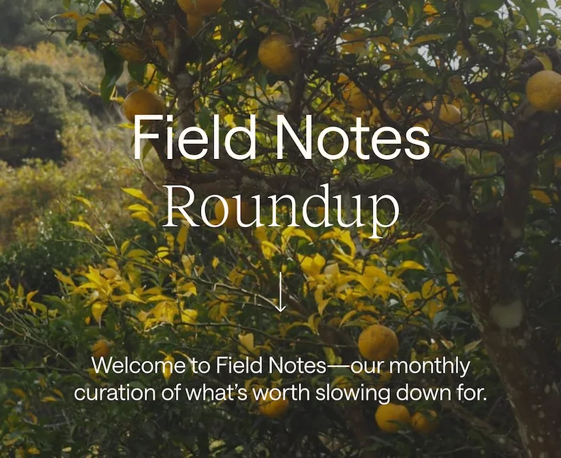 Field Notes Roundup