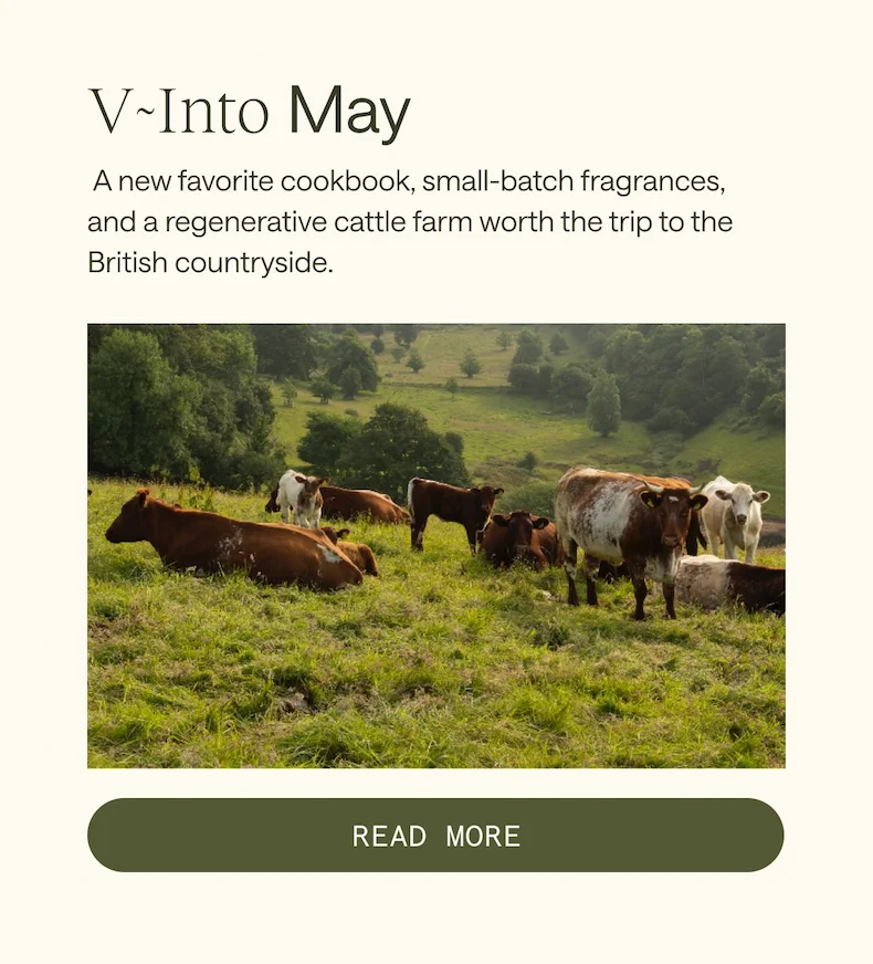 V-Into May
