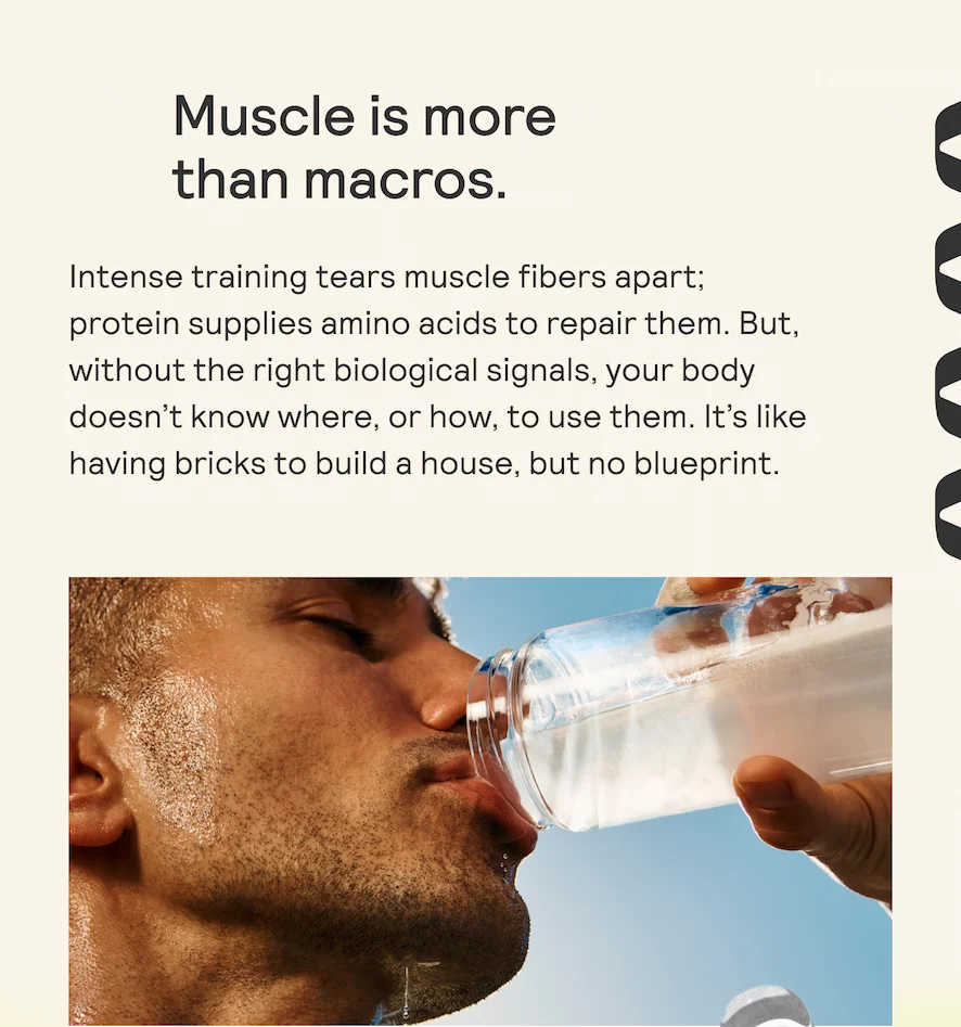 MUSCLE IS MORE THAN MACROS