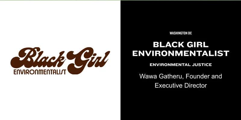 Black Girl Environmentalists