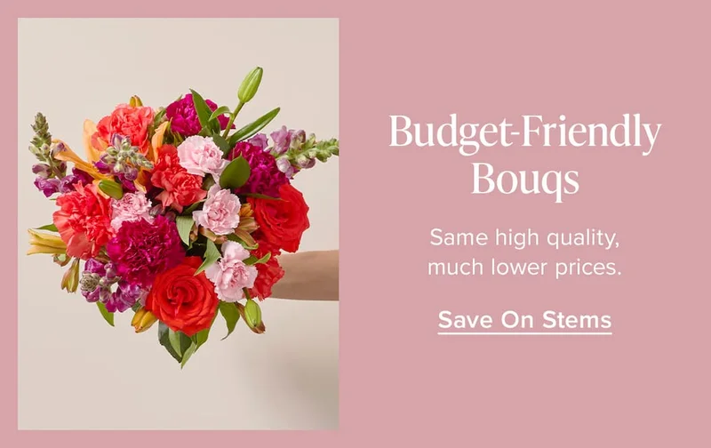 Budget-Friendly Bouqs. Same high quality, much lower prices. Save on Stems