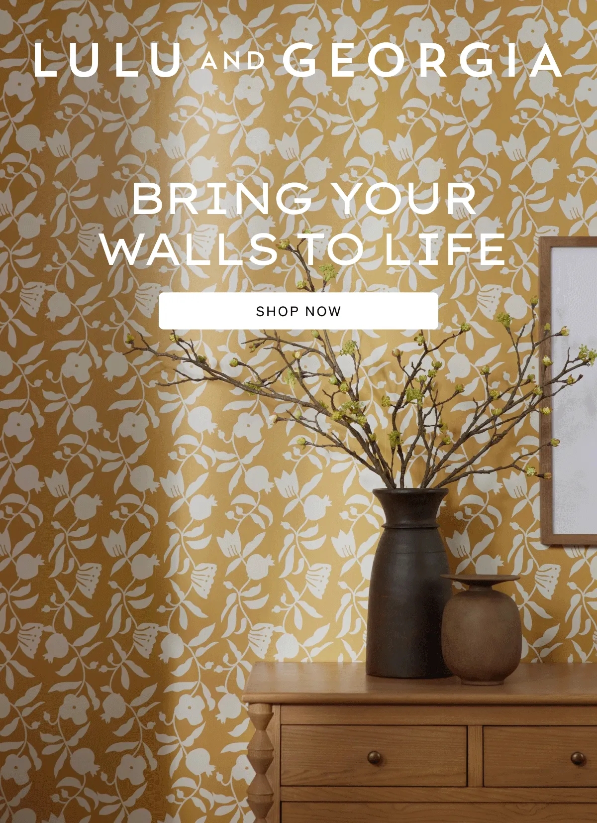 Shop the Collection