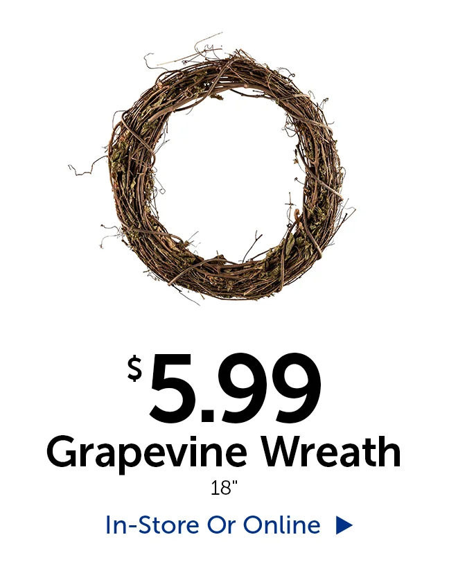 $5.99 Grapevine Wreath - 18" in diameter