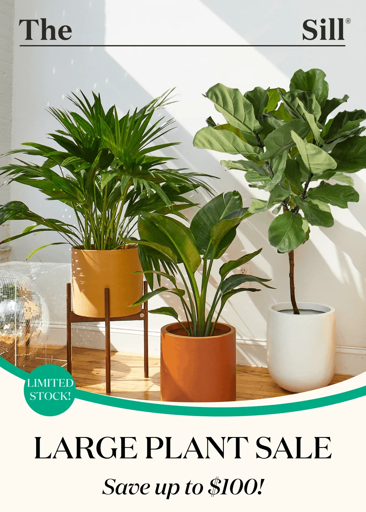 Large Plant Sale! Save up to $100!