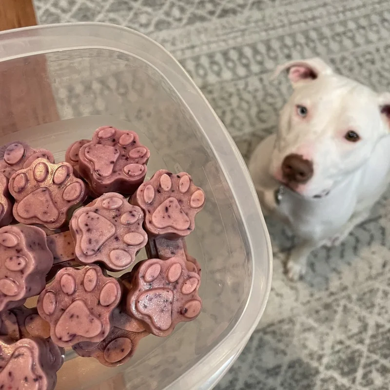 Image of BoneItUp® Homemade Dog Treats Kit