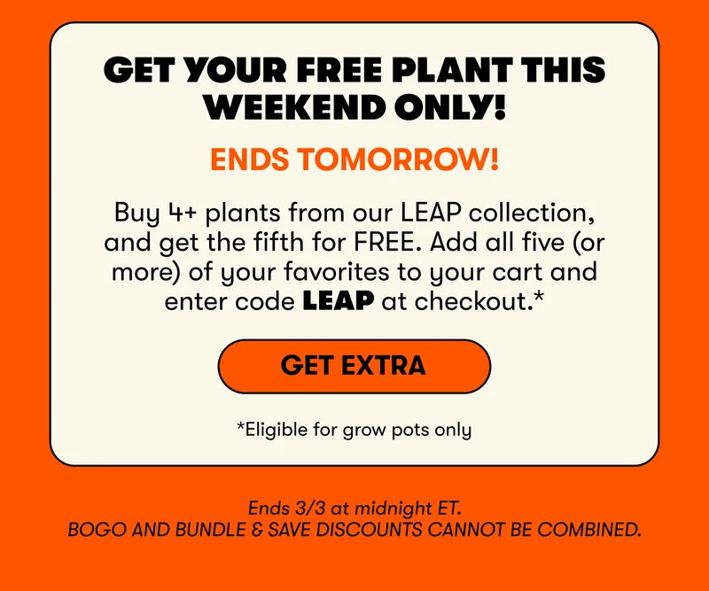 Get your FREE plant this weekend only! Buy 4+ plants from our LEAP collection, and get the fifth for FREE. Add all five (or more) of your favorites to your cart and enter code LEAP at checkout.&nbsp; Get Extra. *Eligible for grow pots only