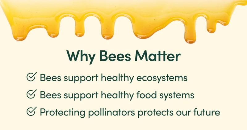 Why Bees Matter Bees support healthy ecosystems  Bees support healthy food systems  Protecting pollinators protects our future