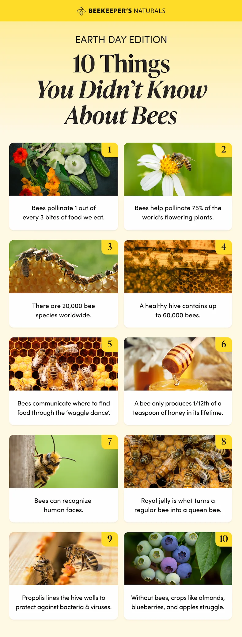 EARTH DAY EDITION 10 Things You Didn’t Know About Bees   There are 20,000 bee species worldwide.  Bees pollinate 1 out of every 3 bites of food we eat.  Bees help pollinate 75% of the world’s flowering plants.  A bee only produces 1/12th of a teaspoon of honey in its lifetime.  Bees communicate where to find food through the ‘waggle dance’. Propolis lines the hive walls to protect against bacteria & viruses.  A healthy hive contains up to 60,000 bees.   Bees can recognize human faces.  Royal jelly is what turns a regular bee into a queen bee. Without bees, crops like almonds, blueberries, and apples would struggle to grow.