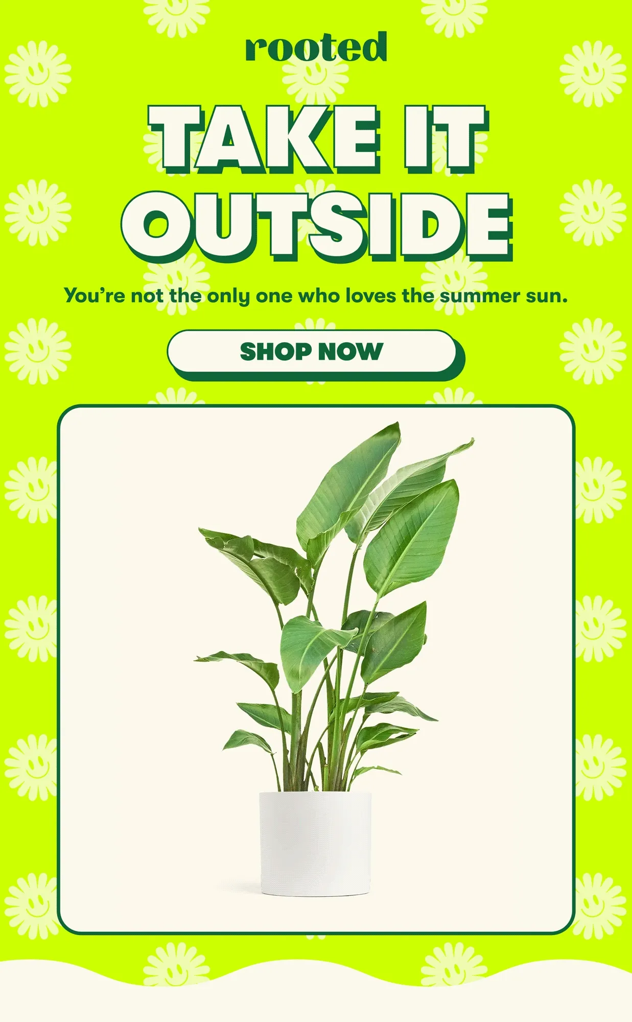 TAKE IT OUTSIDE  You’re not the only one who loves the summer sun  [SHOP NOW]