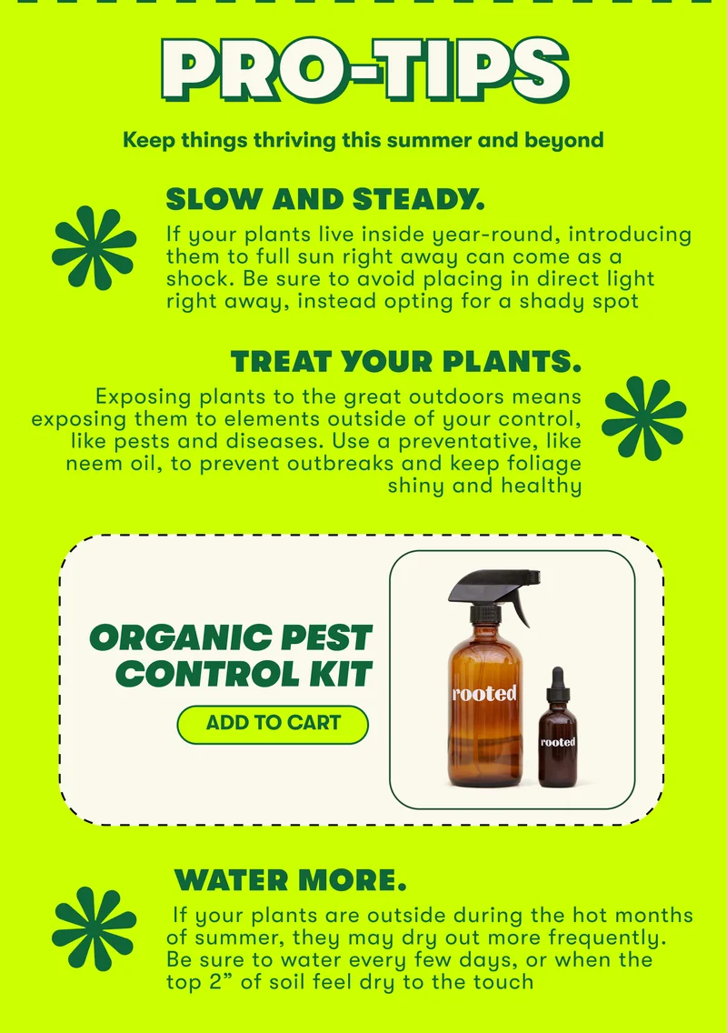 PRO-TIPS  Keep things thriving this summer and beyond  Slow and steady. If your plants live inside year-round, introducing them to full sun right away can come as a shock. Be sure to avoid placing in direct light right away, instead opting for a shady spot Treat your plants. Exposing plants to the great outdoors means exposing them to elements outside of your control, like pests and diseases. Use a preventative, like neem oil, to prevent outbreaks and keep foliage shiny and healthy  <plug product> NAME: Organic Pest Control Kit CTA: ADD TO CART URL:  Water More. If your plants are outside during the hot months of summer, they may dry out more frequently. Be sure to water every few days, or when the top 2” of soil feel dry to the touch