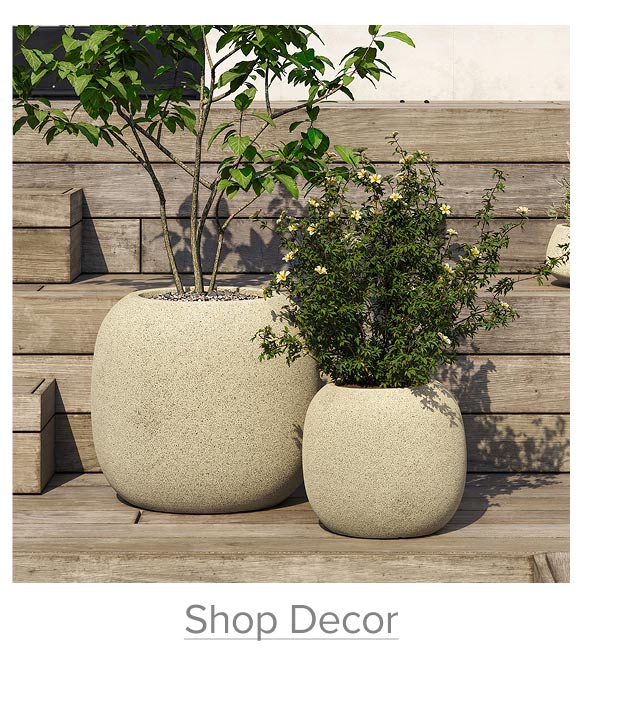 Shop Decor