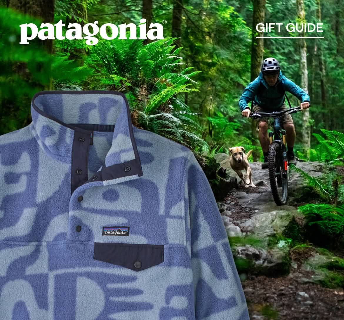 Patagonia