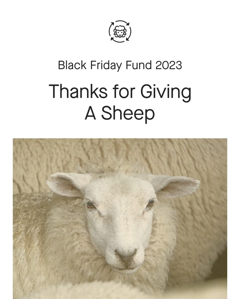 [icon]Black Friday Fund 2023 Thanks for Giving A Sheep[image]