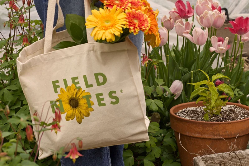 This Summer’s Tote