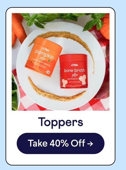 Toppers: Shop Now –>