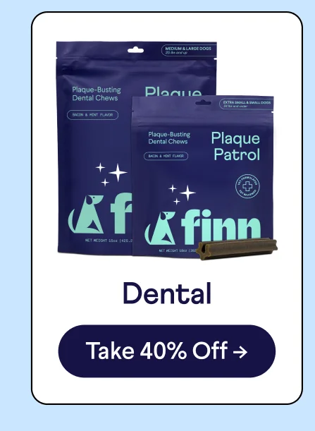 Dental: Shop Now –>