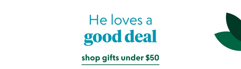 shop now