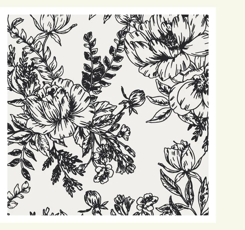 Jet Black Toile