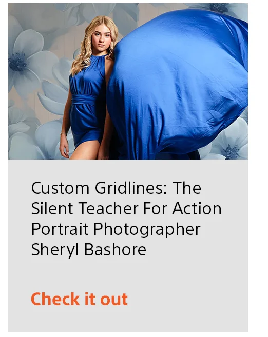 Custom Gridlines: The silent teacher for action portrait photographer Sheryl Bashore | Check it out