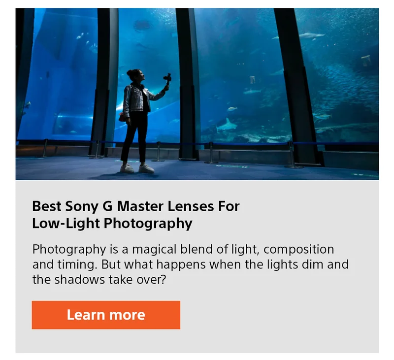 Best Sony G Master Lenses for low-light photography