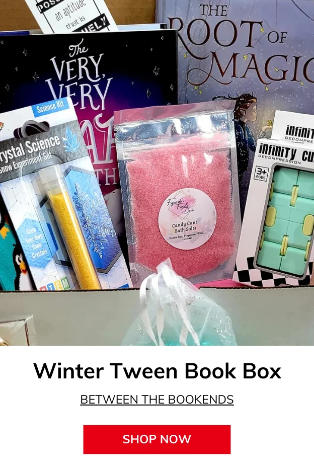 Winter themed Tween Book Box