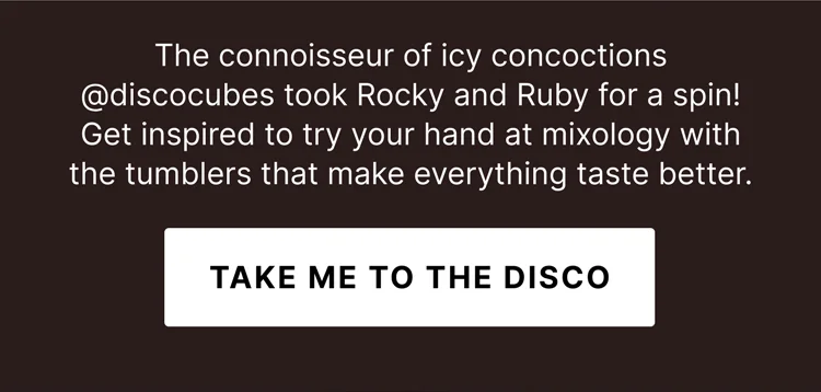 Take Me to The Disco
