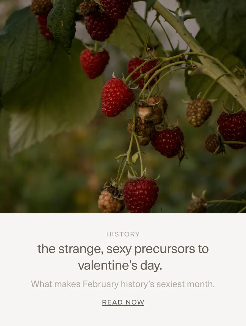 flying solo on valentine's day