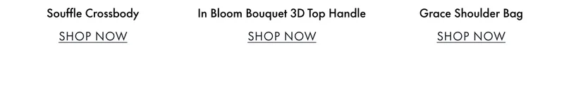 Shop Handbags