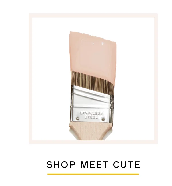 SHOP MEET CUTE