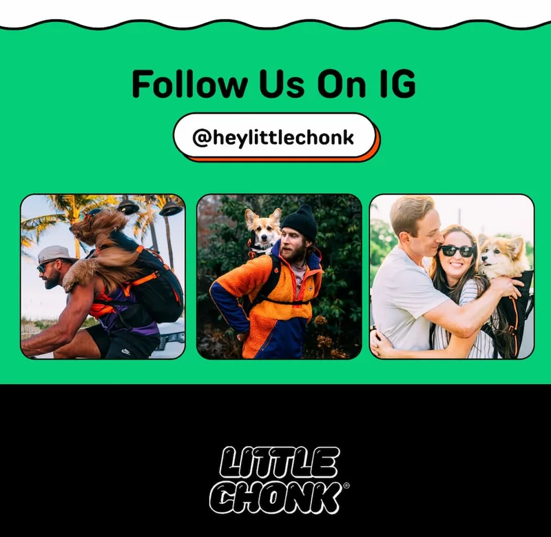 Follow us on IG