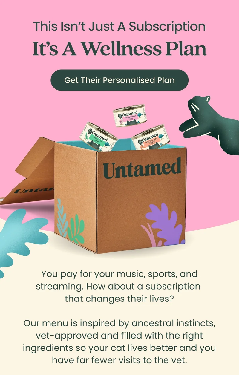 Get Their Personalised Plan