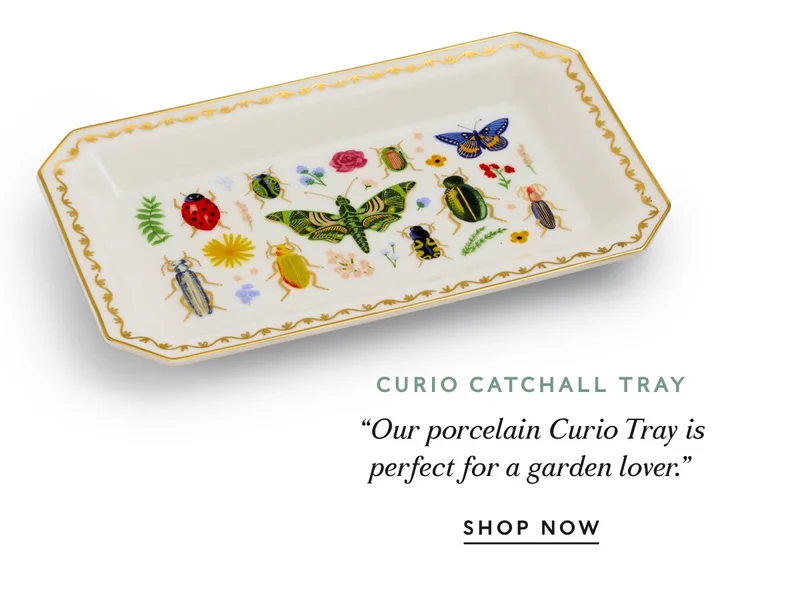 Shop Curio Catchall Tray