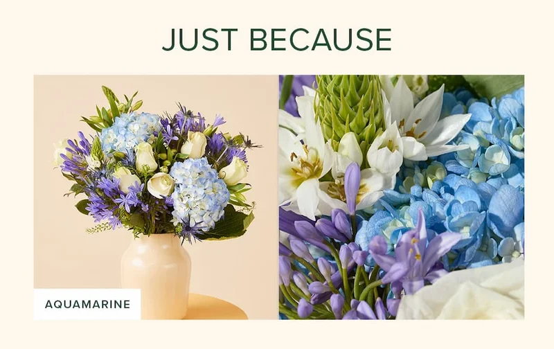 Just Because Flowers