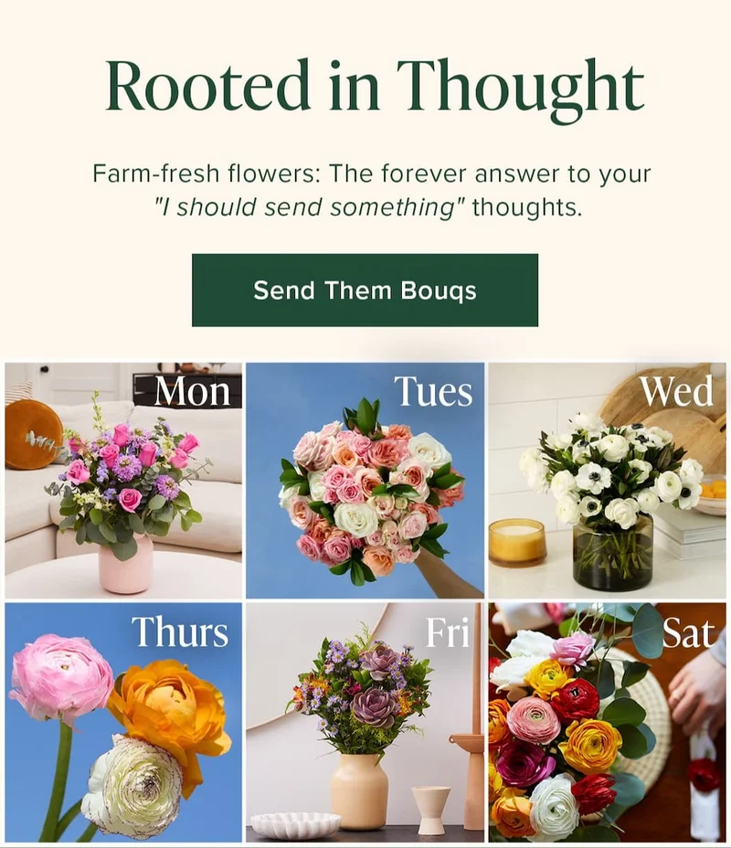 Rooted in Thought. Farm-fresh flowers: The forever answer to your "I should send something" thoughts. Send Them Bouqs