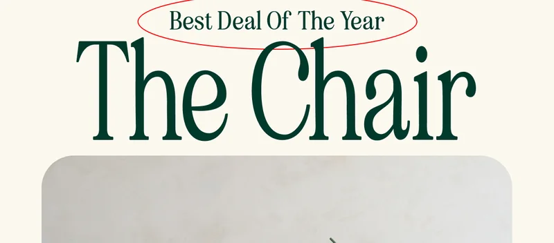 Best Deal Of  The Year. The Chair