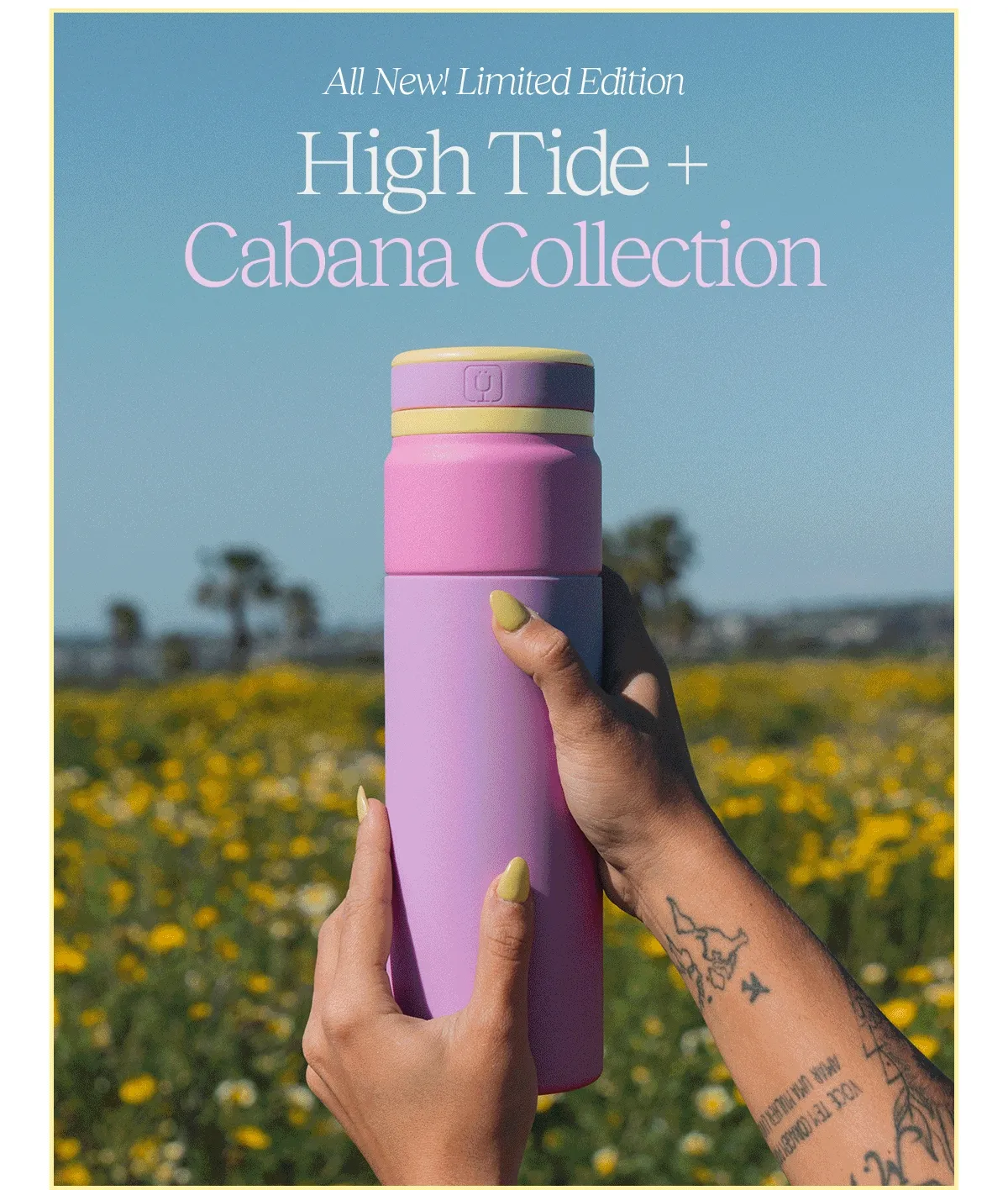 All new! Limited Edition High Tide + Cabana Collection