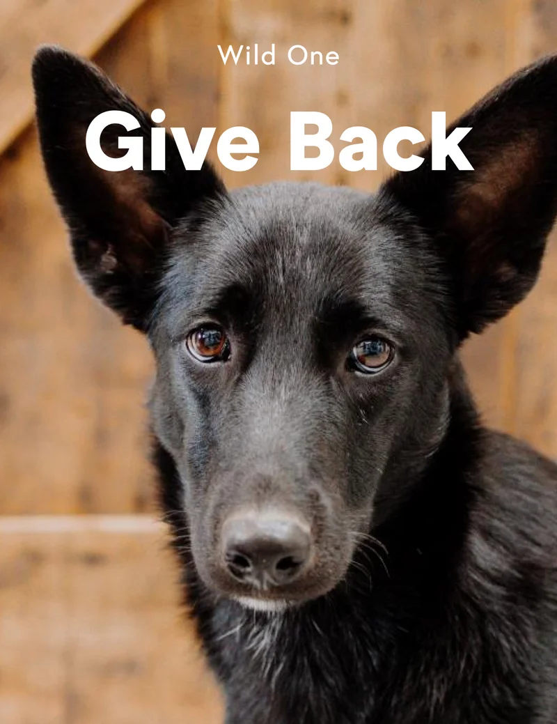 Give Back