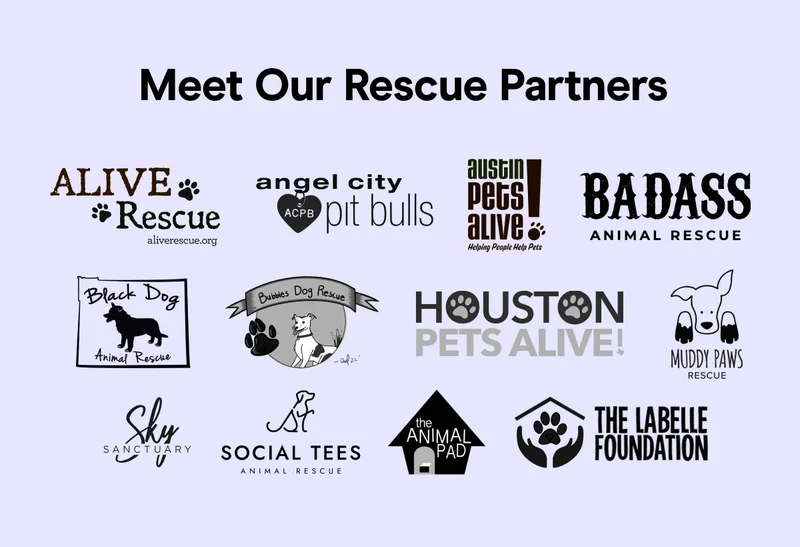 Meet Our Rescue Partners